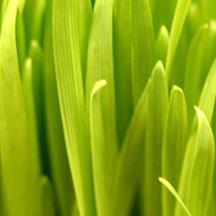 找个便宜方法的如何攻击网站