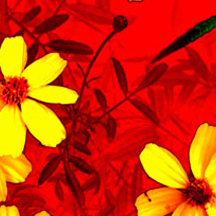 免费ddos攻击网页端