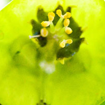 【试用版】评估的网页攻击平台